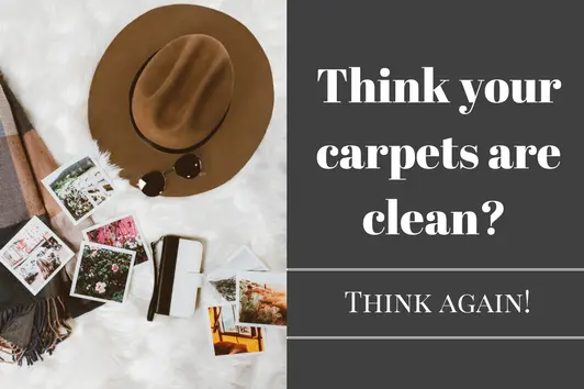 think your carpets are clean